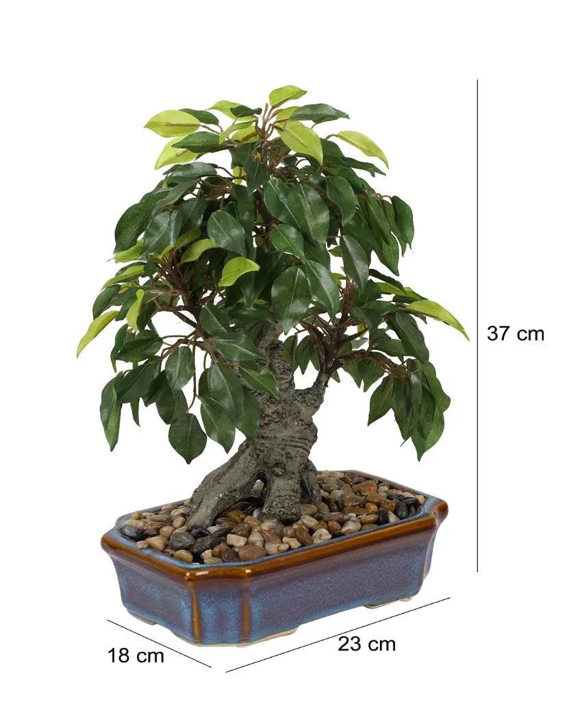 Ficus Artificial Bonsai Plant with Ceramic Vase | 1.25 feet