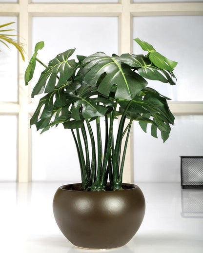 Philodendron Artificial Bonsai Plant with Ceramic Pot | 1.25 feet