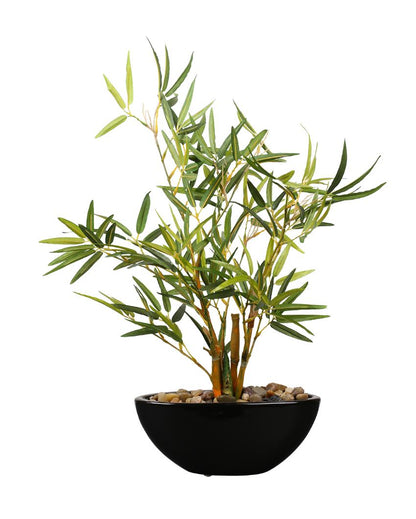 Bamboo Artificial Bonsai Plant with Ceramic Pot | 14 inches , 15 inches