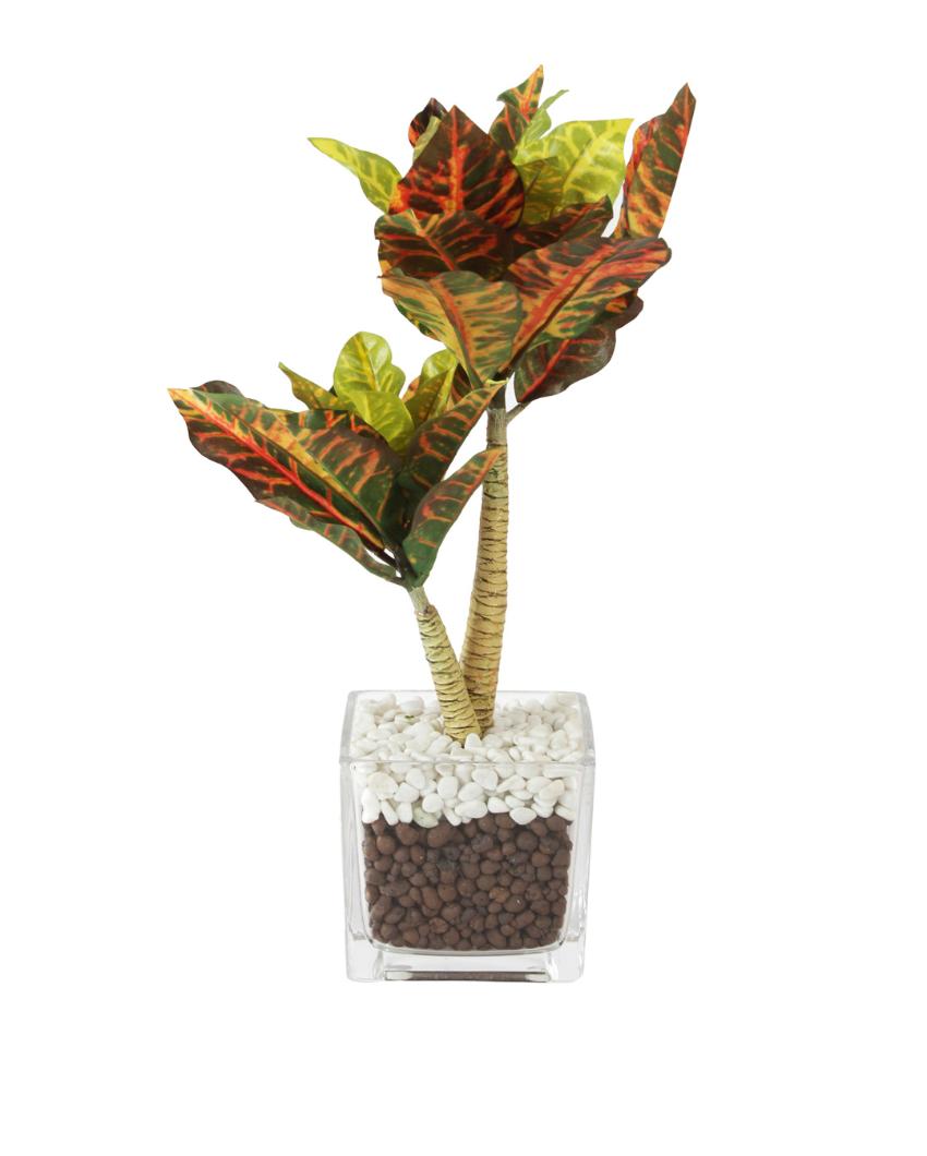 Multicolor Croton Artificial Bonsai Plant with Glass Pot | 1.25 feet