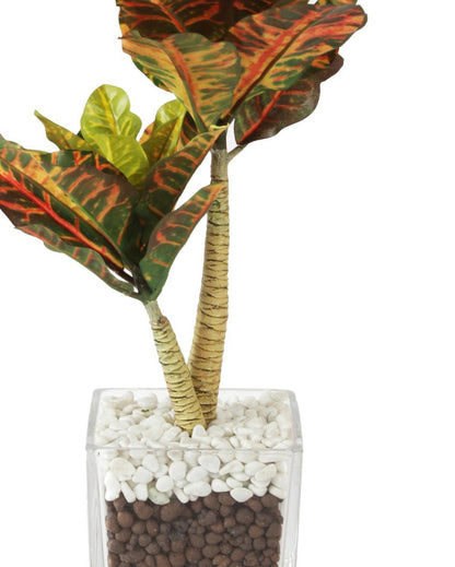 Multicolor Croton Artificial Bonsai Plant with Glass Pot | 1.25 feet