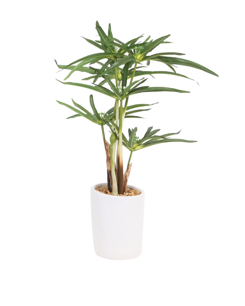 Cyperus Artificial Bonsai Plant with Ceramic Pot | 16 inches