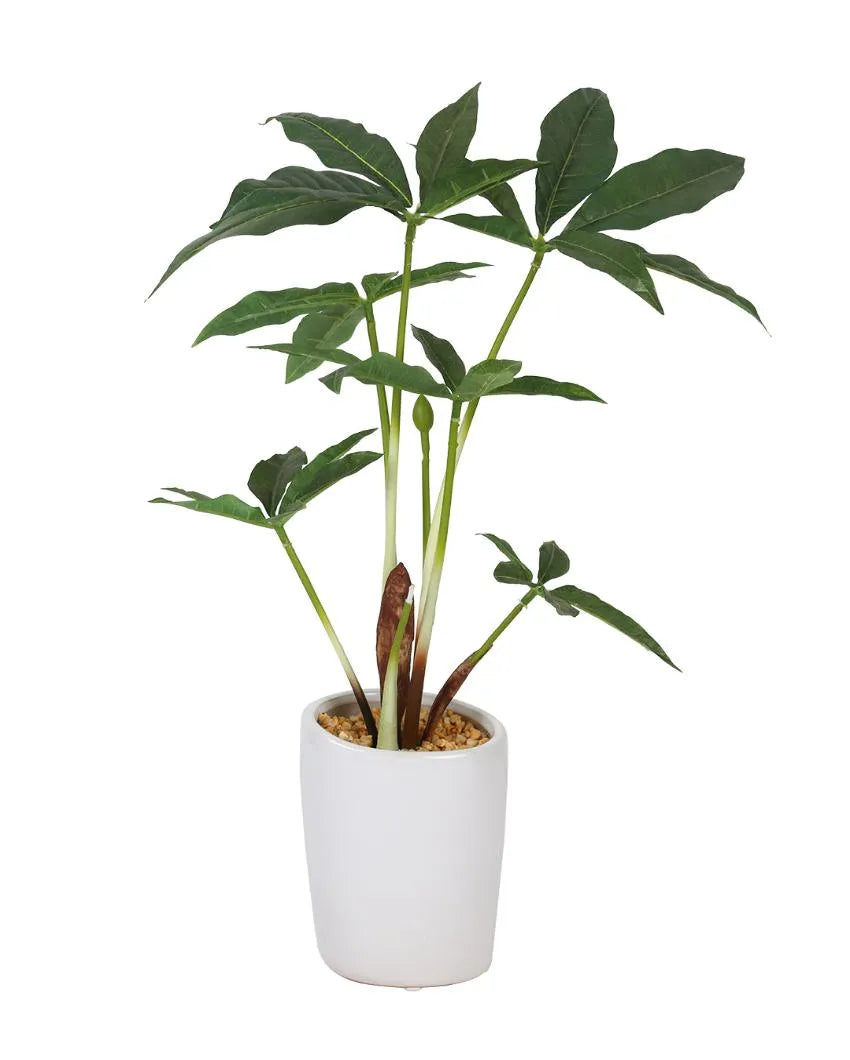 Pachira Artificial Bonsai Plant with Ceramic Pot | 1.3 feet