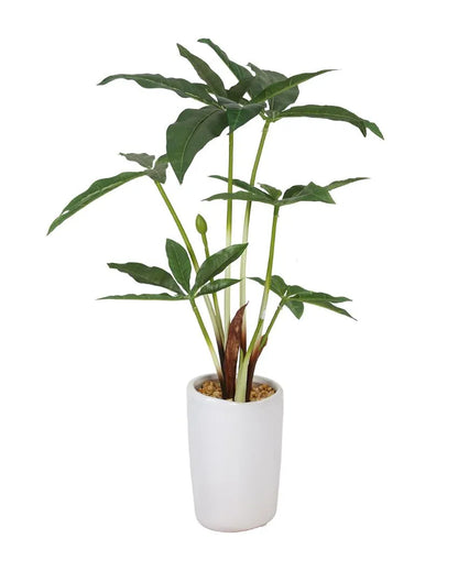 Pachira Artificial Bonsai Plant with Ceramic Pot | 1.3 feet