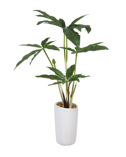 Pachira Artificial Bonsai Plant with Ceramic Pot | 1.3 feet