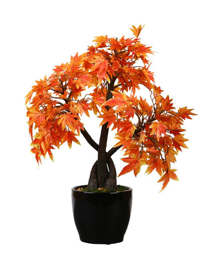 Japanese Maple Artificial Bonsai Plant with Ceramic Pot | 1.25 Feet