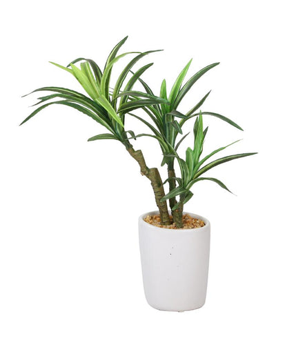 Yucca Artificial Bonsai Plant with Ceramic Pot | 1.3 feet