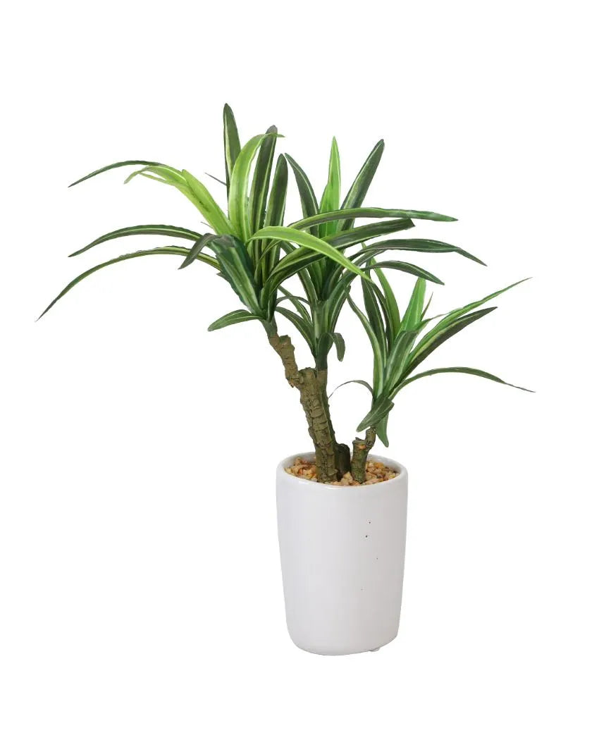 Yucca Artificial Bonsai Plant with Ceramic Pot | 1.3 feet