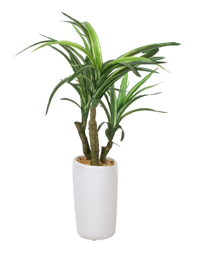 Yucca Artificial Bonsai Plant with Ceramic Pot | 1.3 feet