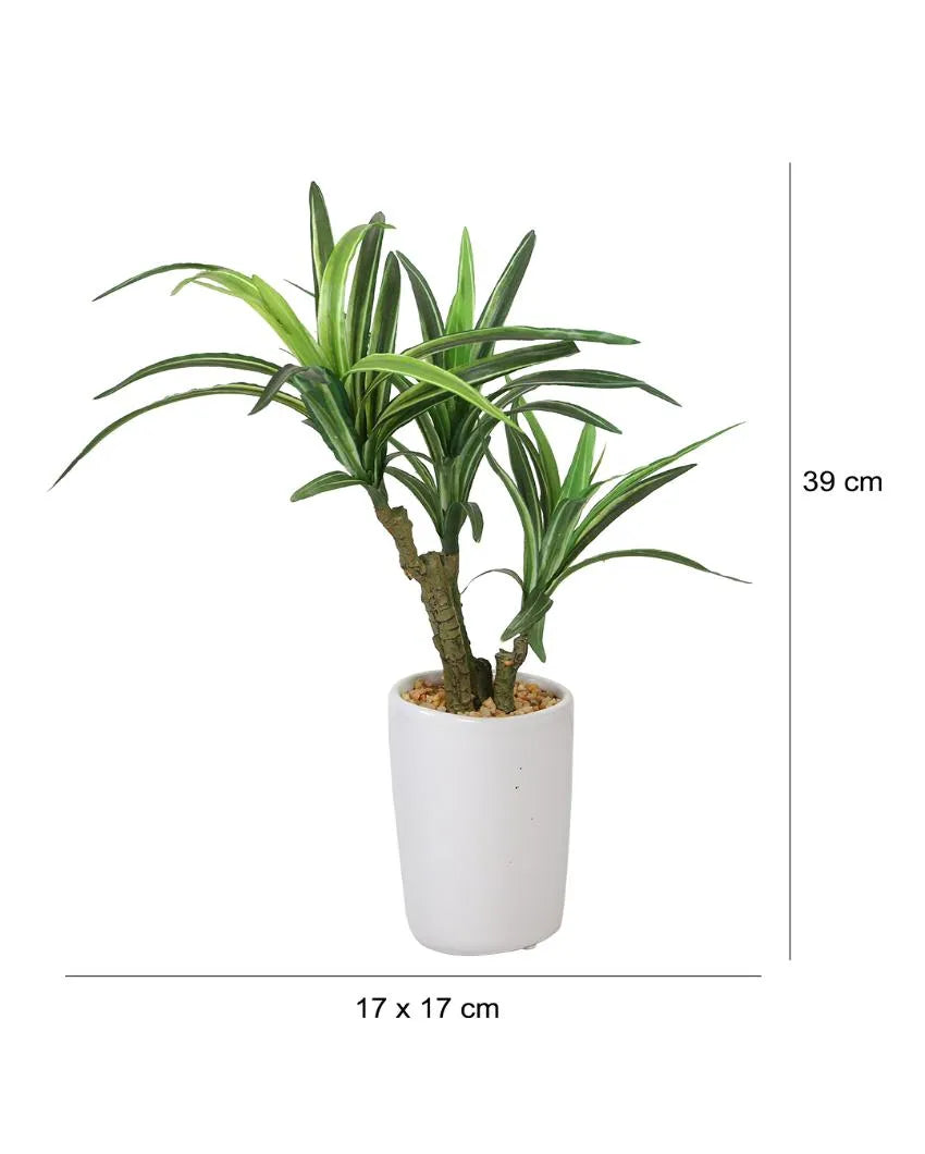 Yucca Artificial Bonsai Plant with Ceramic Pot | 1.3 feet