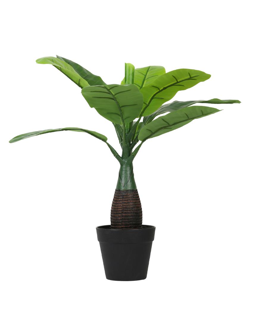 Banana Artificial Bonsai Plant with Plastic Pot | 1.5 feet