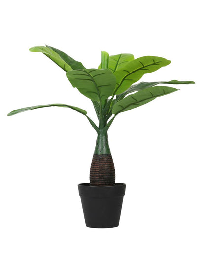 Banana Artificial Bonsai Plant with Plastic Pot | 18 inches