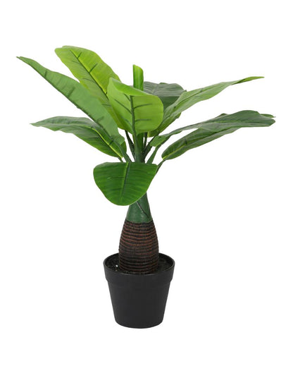 Banana Artificial Bonsai Plant with Plastic Pot | 18 inches