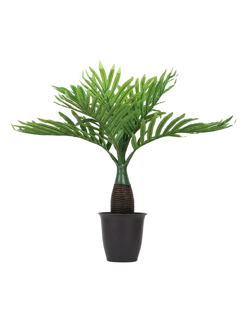 Bottle Palm Artificial Bonsai Plant with Plastic Pot | 1.5 feet