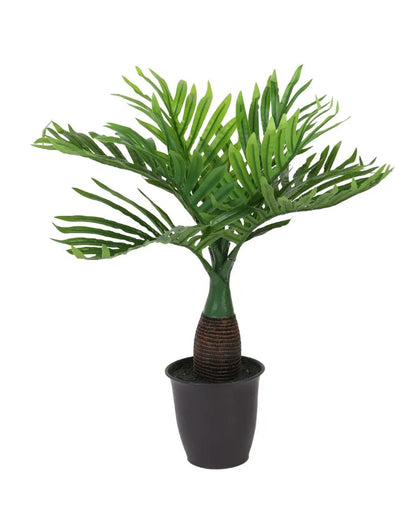 Bottle Palm Artificial Bonsai Plant with Plastic Pot | 1.5 feet