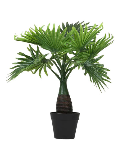 Fan Palm Artificial Bonsai Plant with Plastic Pot | 1.5 feet