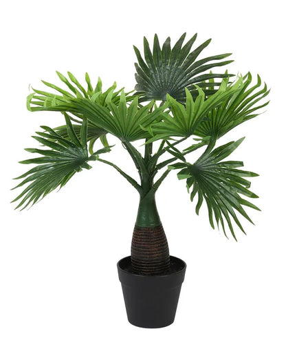 Fan Palm Artificial Bonsai Plant with Plastic Pot | 1.5 feet