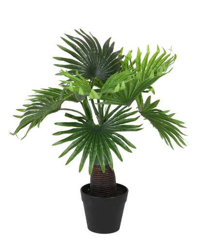 Fan Palm Artificial Bonsai Plant with Plastic Pot | 1.5 feet