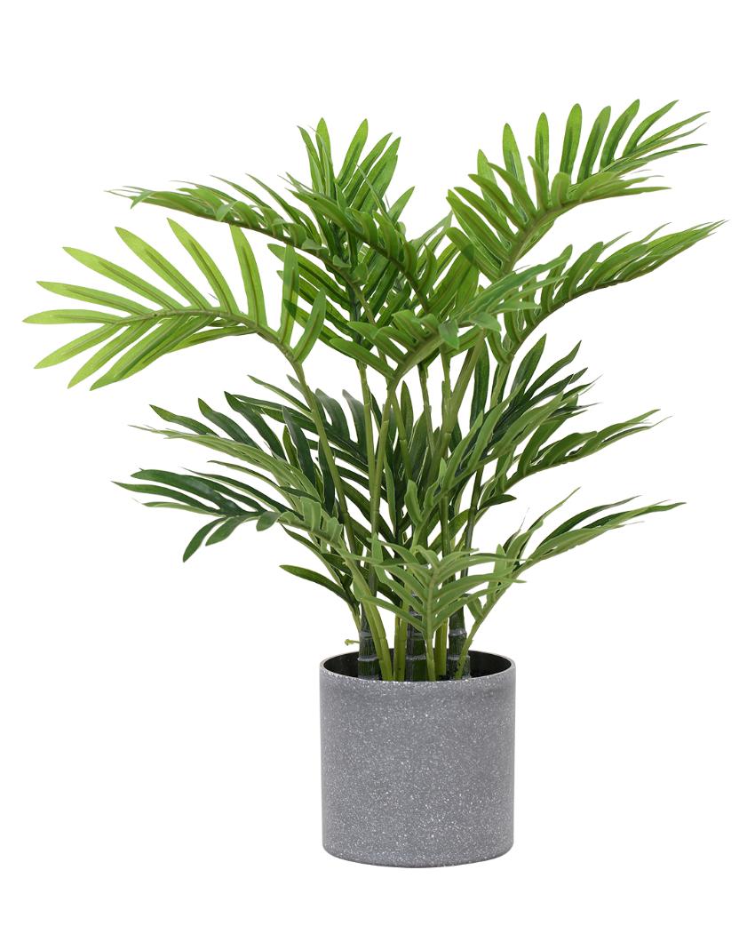 Real Touch Palm Artificial Bonsai Plant with Plastic Pot | 1.3 feet