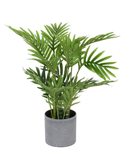 Real Touch Palm Artificial Bonsai Plant with Plastic Pot | 1.3 feet