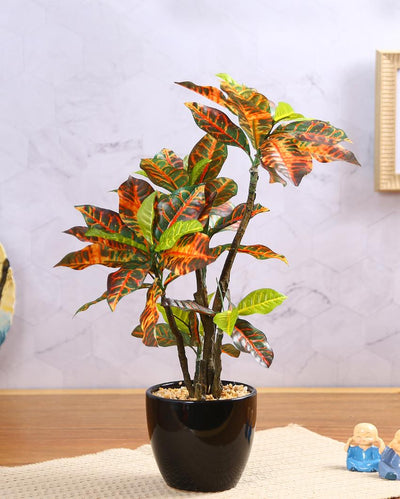 Multicolor Croton Artificial Bonsai Plant with Ceramic Pot | 1.3 feet