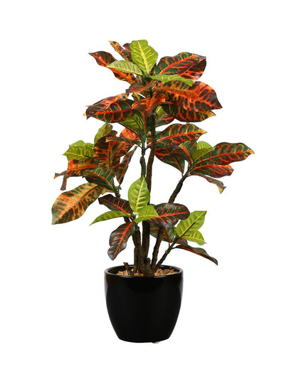 Multicolor Croton Artificial Bonsai Plant with Ceramic Pot | 1.3 feet