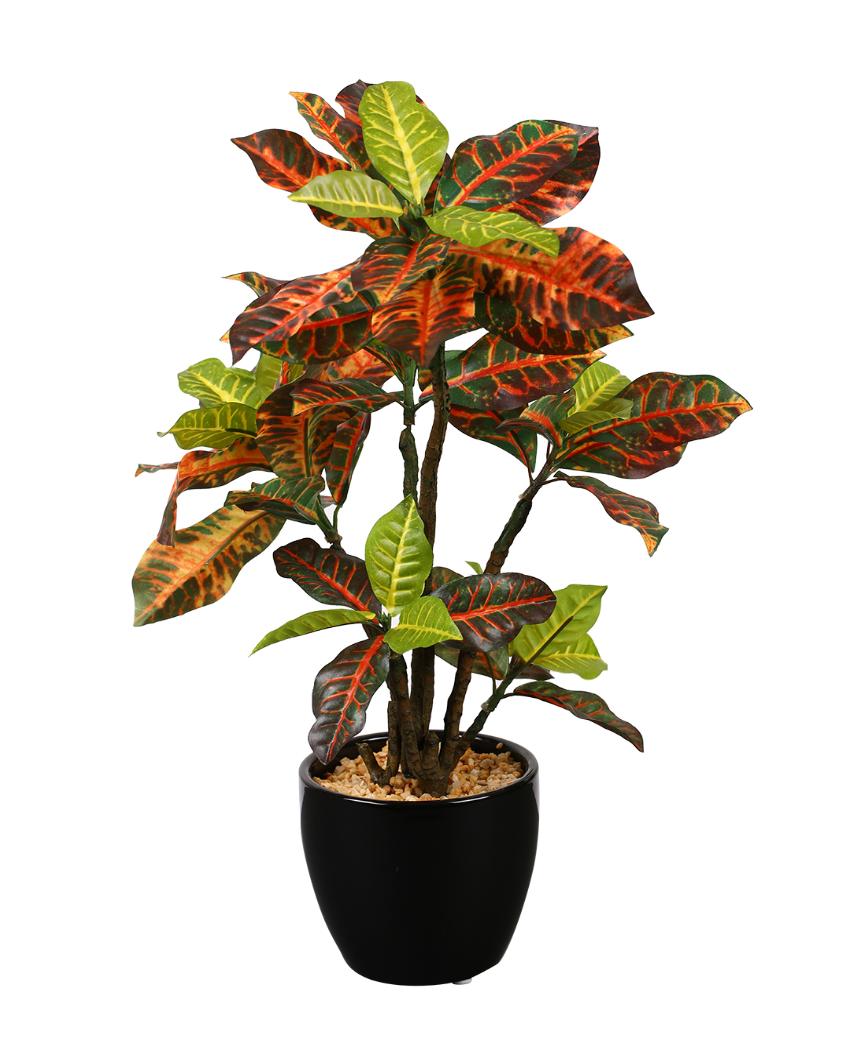 Multicolor Croton Artificial Bonsai Plant with Ceramic Pot | 1.3 feet