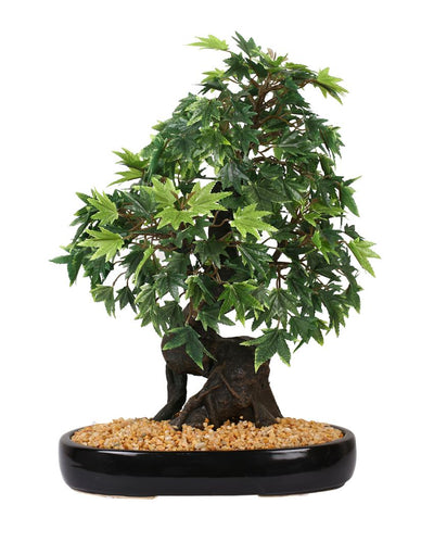 Japanese Maple Artificial Bonsai Plant with Ceramic Pot | 1.3 feet