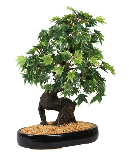 Japanese Maple Artificial Bonsai Plant with Ceramic Pot | 1.3 feet