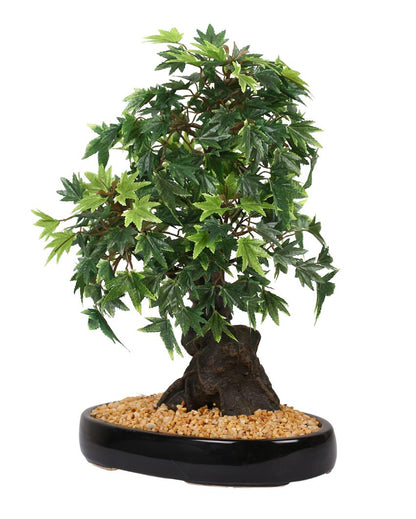 Japanese Maple Artificial Bonsai Plant with Ceramic Pot | 1.3 feet