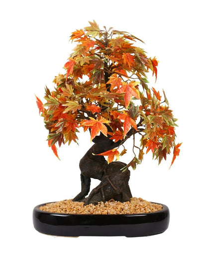 Japanese Maple Artificial Bonsai Plant with Ceramic Pot | 1.3 feet