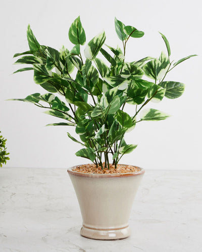 Pothos Artificial Bonsai Plant with Ceramic Pot | 1.4 feet