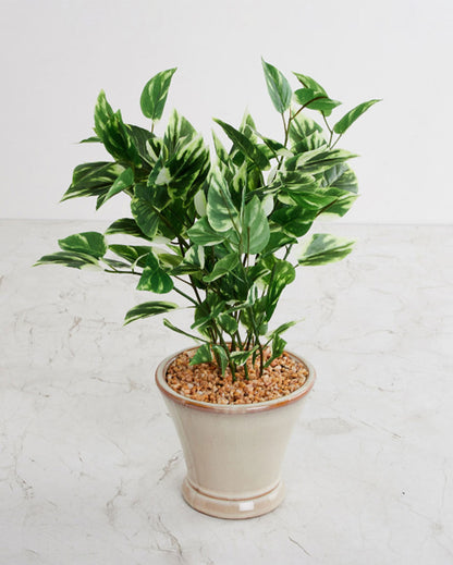 Pothos Artificial Bonsai Plant with Ceramic Pot | 1.4 feet