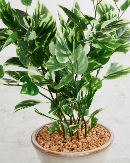 Pothos Artificial Bonsai Plant with Ceramic Pot | 1.4 feet