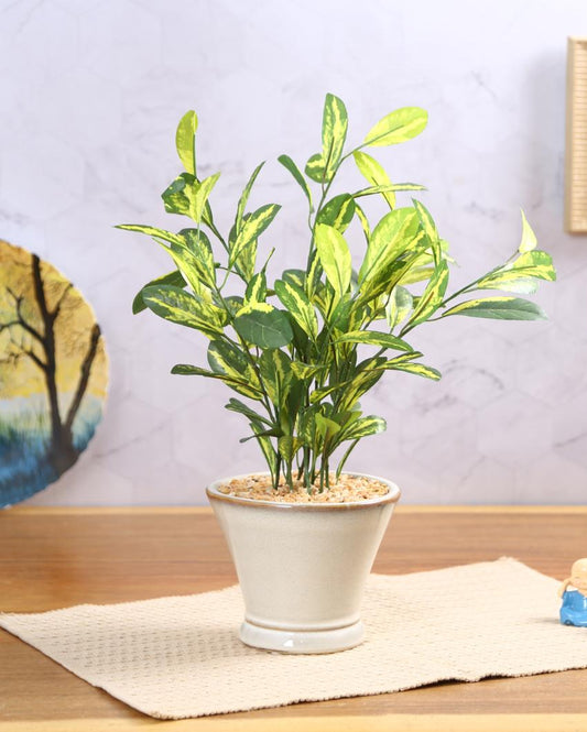 Schefflera Artificial Bonsai Plant with Ceramic Pot | 17 inches