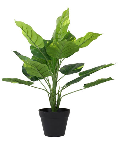 Real Touch Pothos Artificial Bonsai Plant with Plastic Pot | 1.5 feet