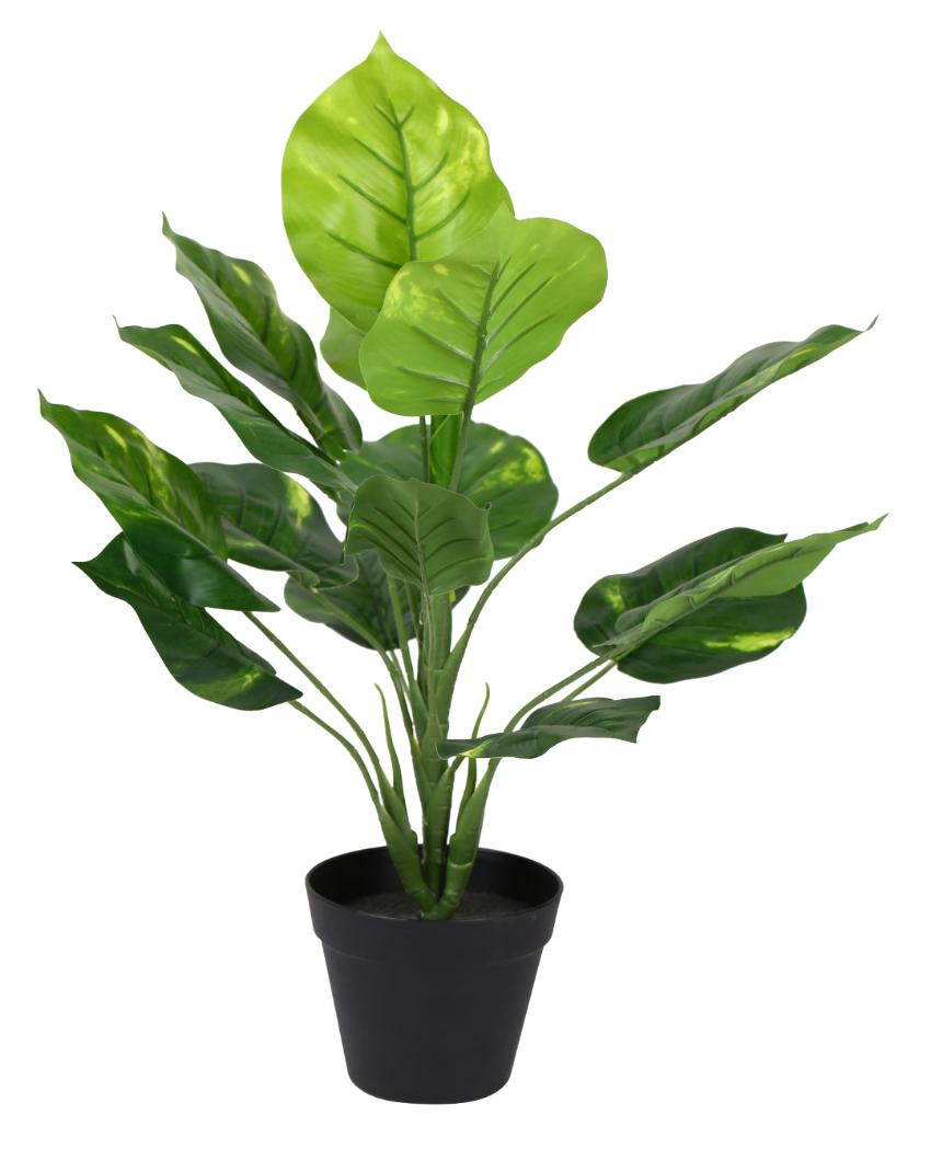 Real Touch Pothos Artificial Bonsai Plant with Plastic Pot | 1.5 feet