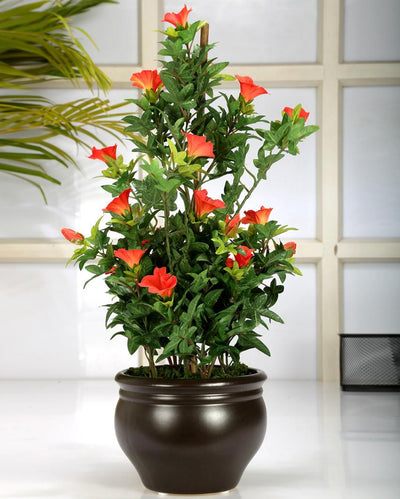 Morning Glory Artificial Bonsai Plant With Ceramic Pot | 2 Feet