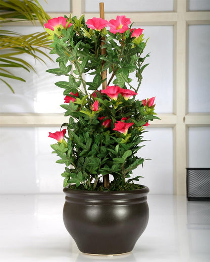 Morning Glory Artificial Bonsai Plant with Ceramic Pot | 1.6 feet