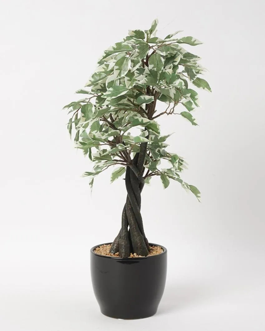 Ficus Artificial Bonsai Plant with Ceramic Pot | 22 inches