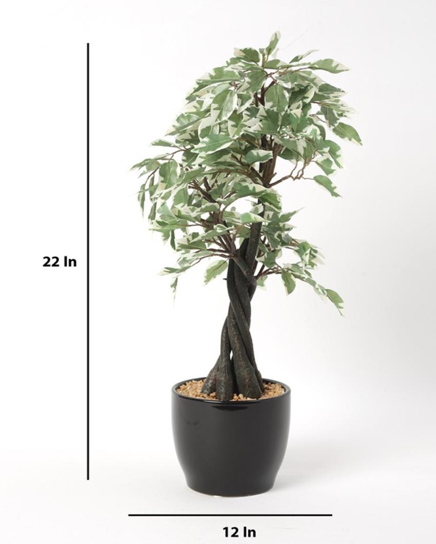 Ficus Artificial Bonsai Plant with Ceramic Pot | 22 inches