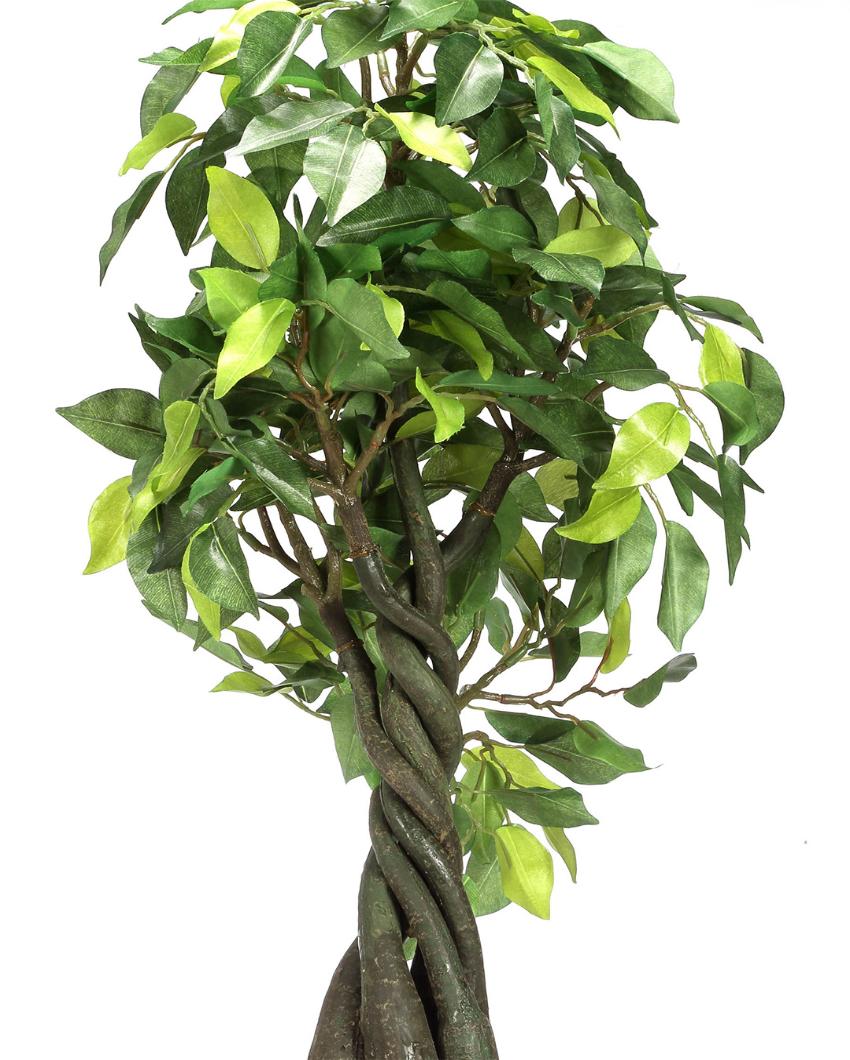 Ficus Artificial Bonsai Plant with Ceramic Pot | 1.8 feet