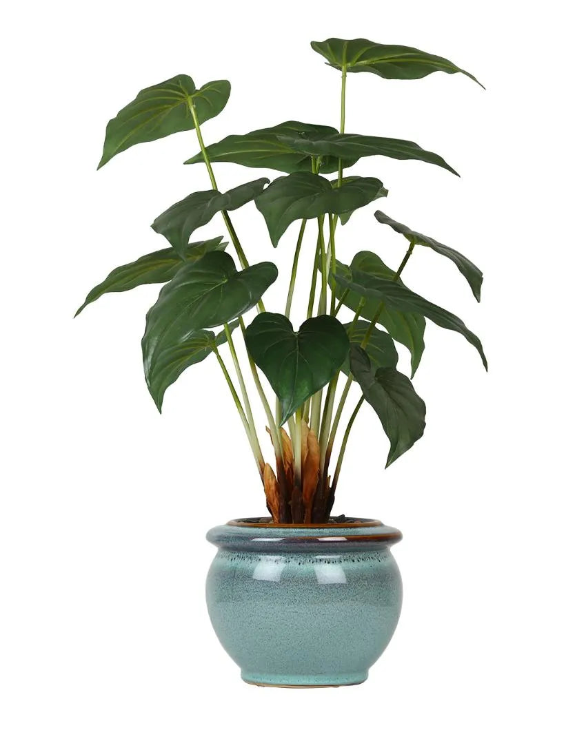 Alocasia Artificial Bonsai Plant with Ceramic Pot | Multiple Colors  23 inches