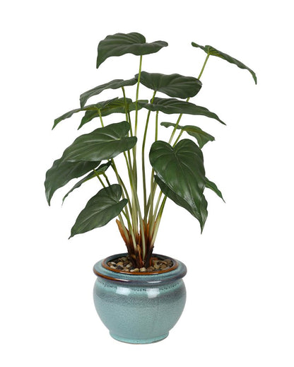 Alocasia Artificial Bonsai Plant with Ceramic Pot | Multiple Colors  23 inches