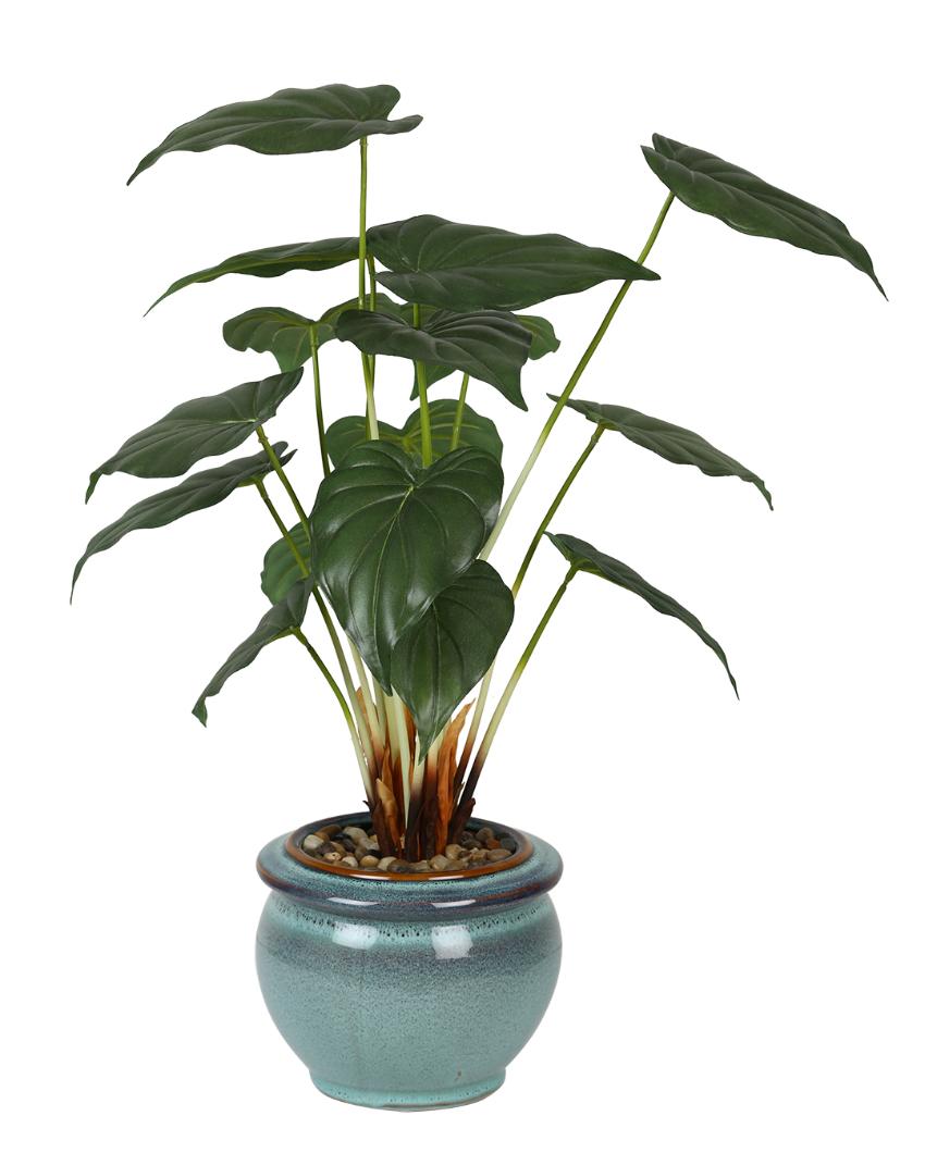 Alocasia Artificial Bonsai Plant with Ceramic Pot | Multiple Colors | 2 feet