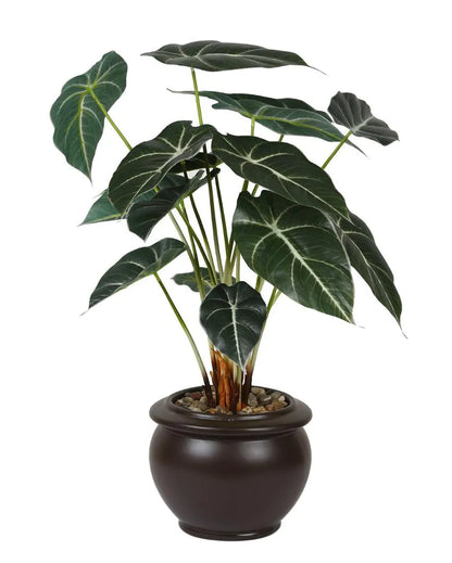 Alocasia Artificial Bonsai Plant with Ceramic Pot | Multiple Colors  23 inches