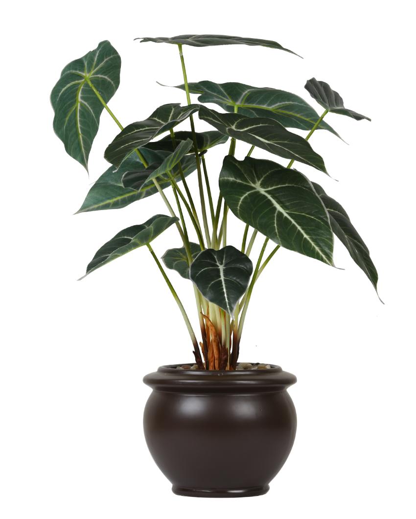 Alocasia Artificial Bonsai Plant with Ceramic Pot | Multiple Colors  23 inches