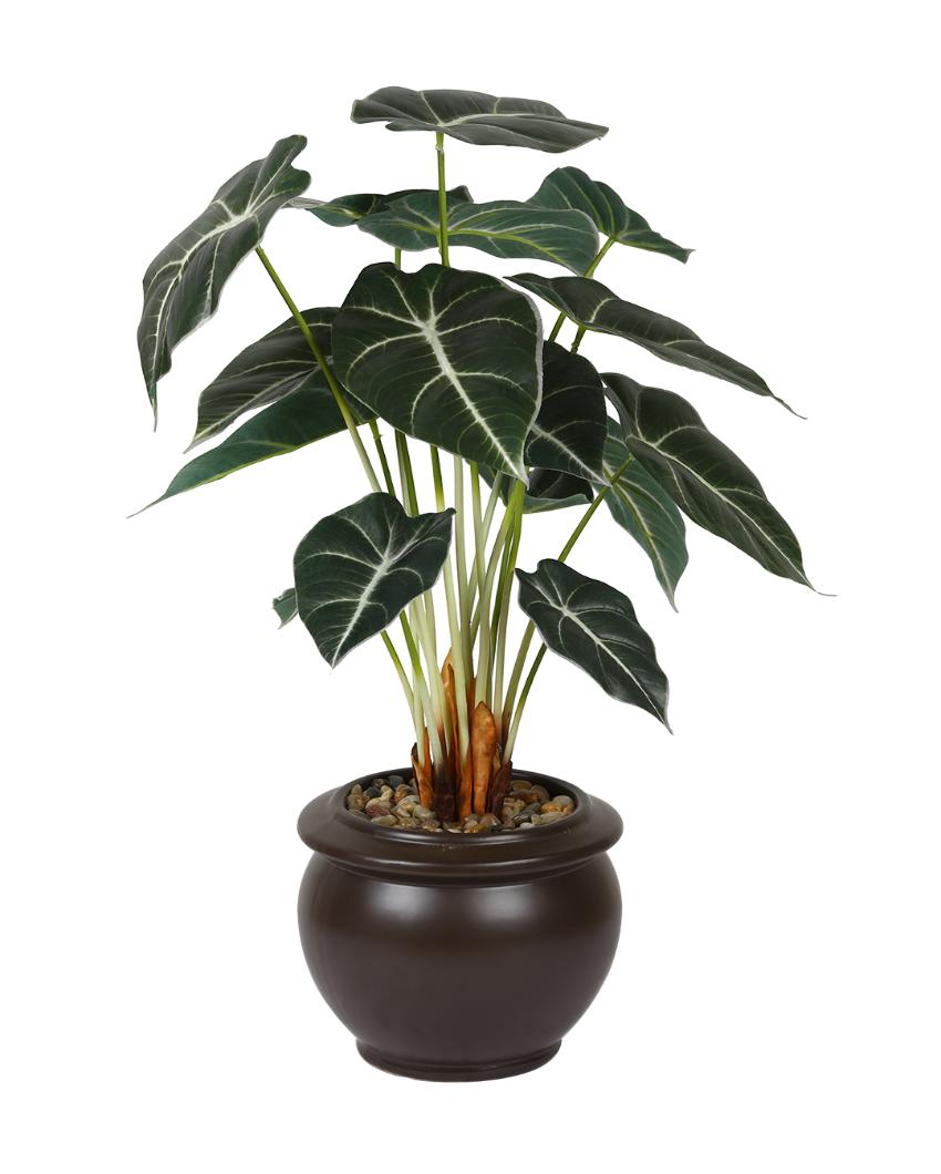 Alocasia Artificial Bonsai Plant with Ceramic Pot | Multiple Colors | 2 feet