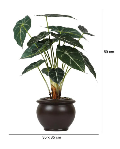 Alocasia Artificial Bonsai Plant with Ceramic Pot | Multiple Colors | 2 feet