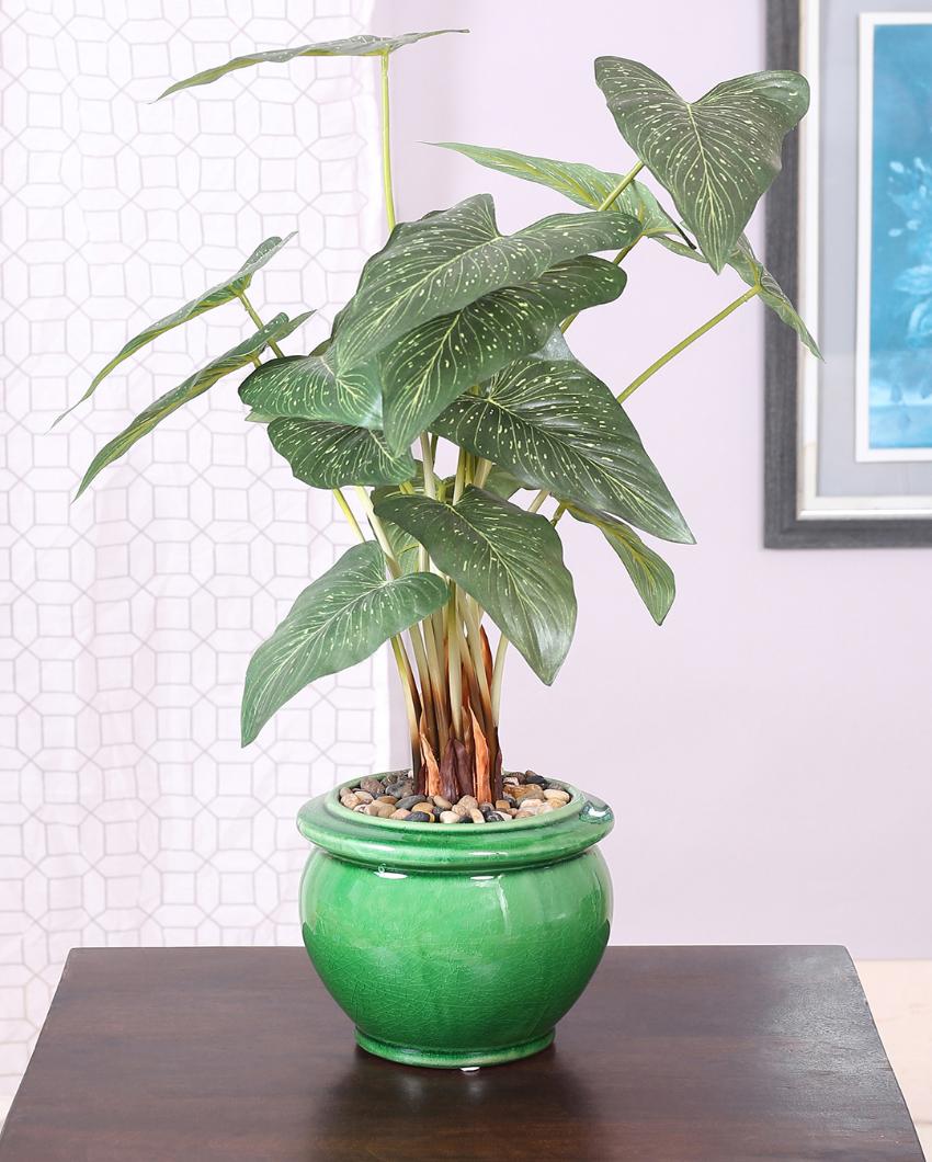 Caladium Artificial Bonsai Plant with Ceramic Pot | 2 feet